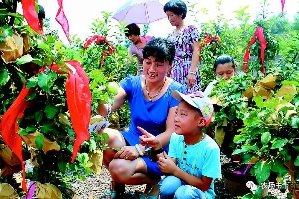 回农村小本创业,农村冷门小本创业生意