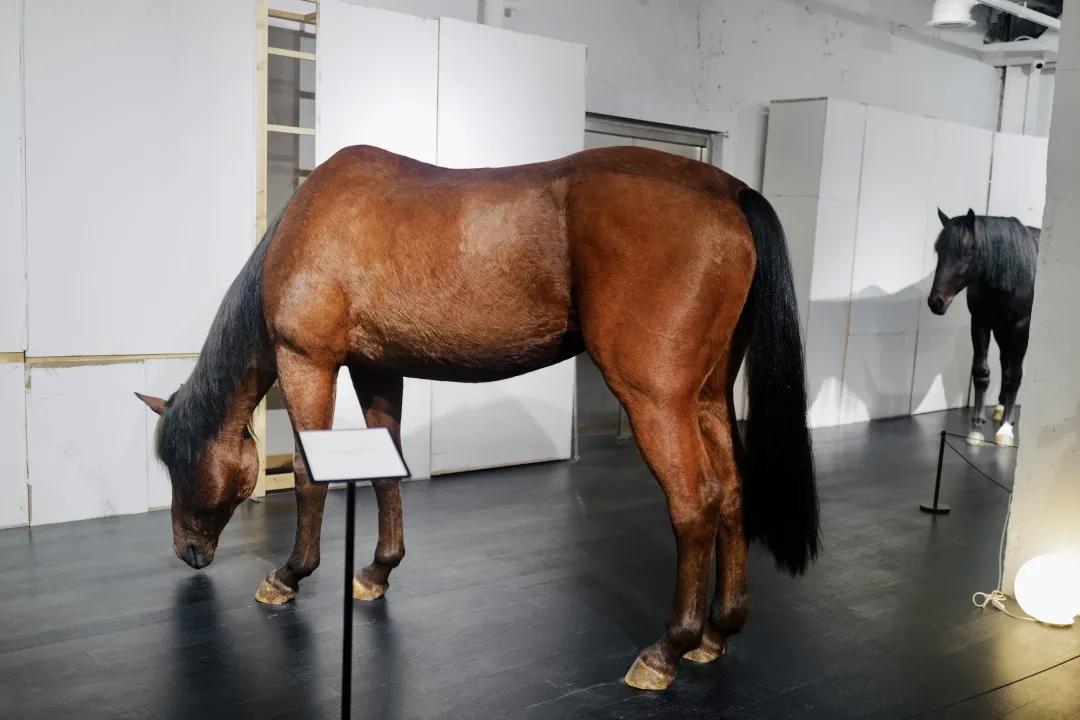 别争了,这条马路才是魔都内卷之王