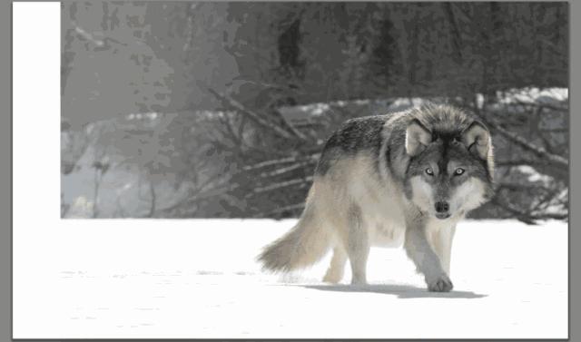 jpg图片批量裁切,如何快速批量裁切图片