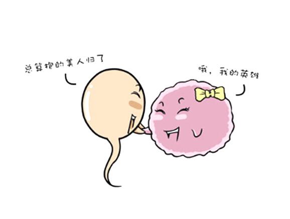 没成功受孕的精子都去哪了,没有成功受孕的精子去哪里了