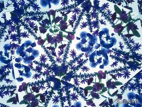 语言学习的技巧和方法,学习c语言需要掌握哪些基本知识