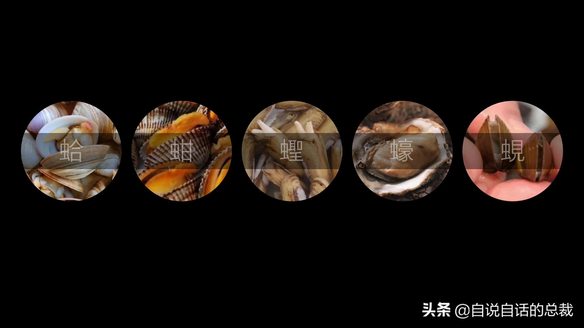 蛏子与小人蚬的区别,贻贝蛤蜊有什么区别