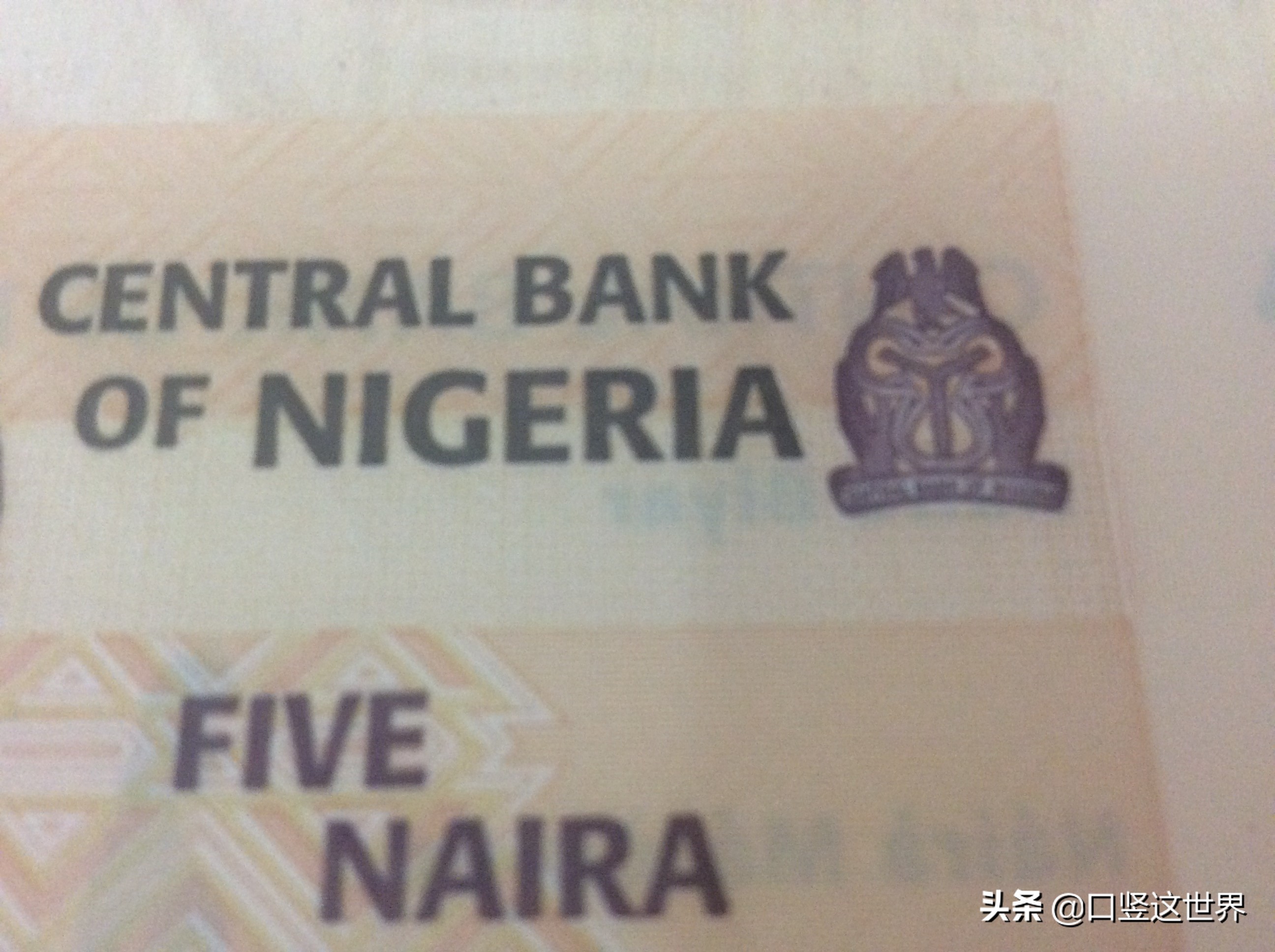 尼日利亚货币是塑料钞吗,尼日利亚塑料钞图片