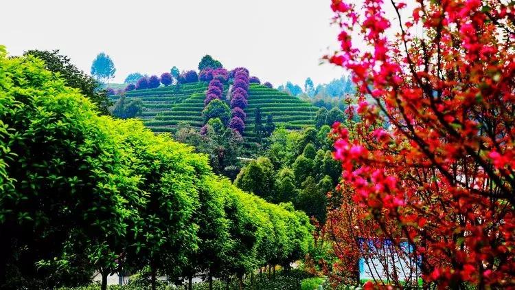 犍为风景最优美的地方,美丽的犍为风景