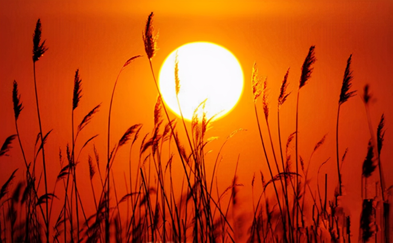 用爱托起明天的太阳教学楼,用爱托起明天的太阳教案