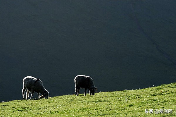 去*疆新**要注意的几件事，现在为你详细解答