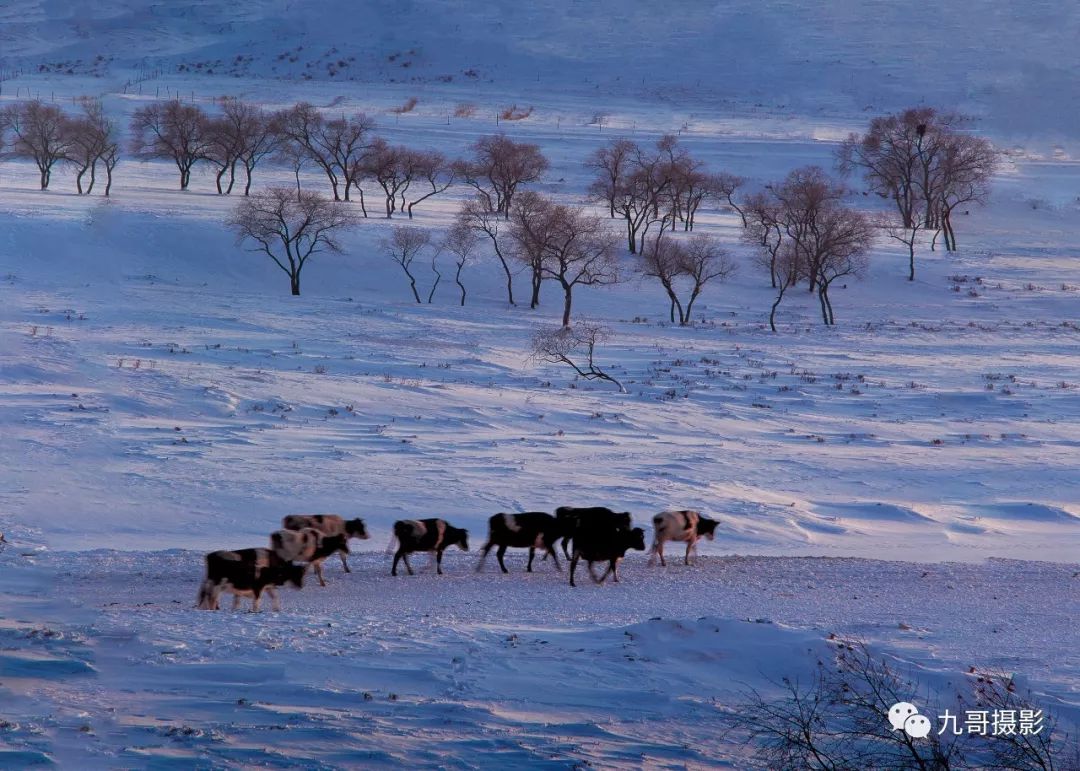 大美坝上草原全景,大美坝上风光系列之一