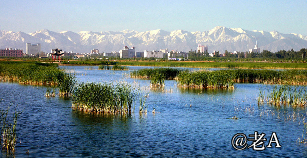 朋友们来张掖吧原视频,朋友来张掖吧