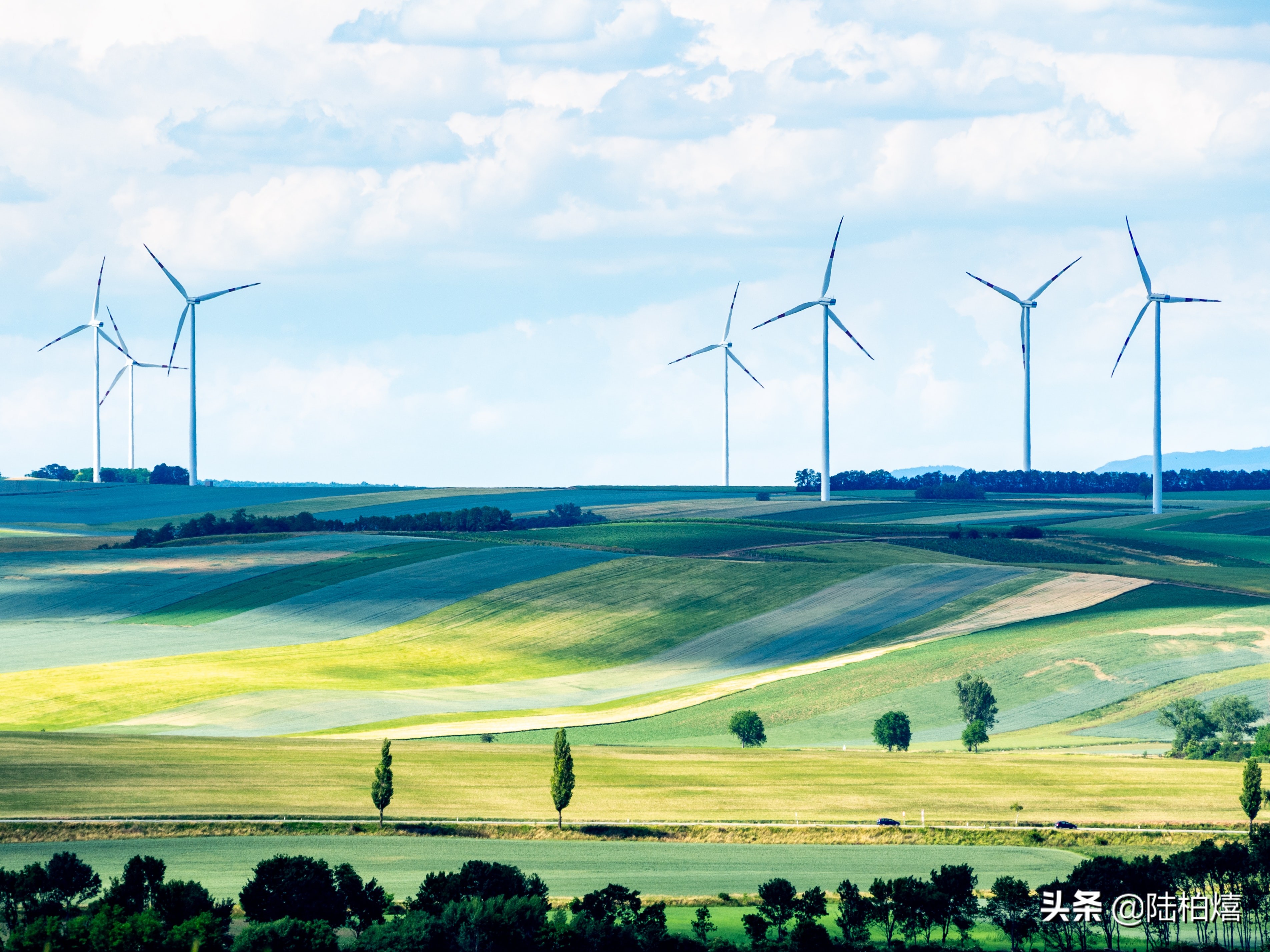 谷歌搜索引擎怎么收录,比较百度与谷歌搜索引擎