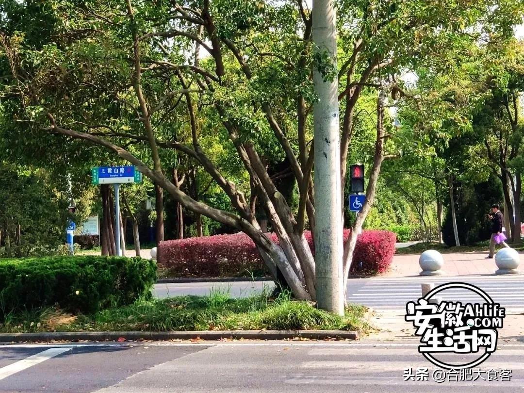 2020年,在这50个地方遇见不一样的合肥