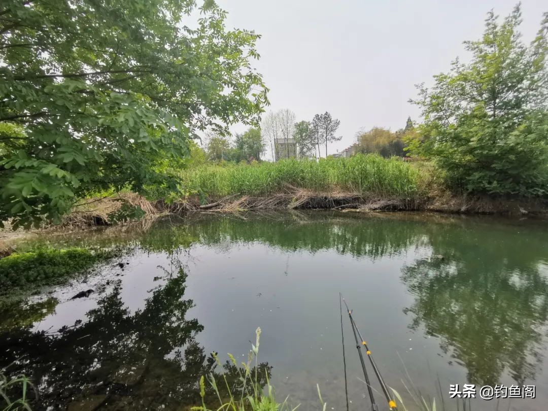 大鱼水深好钓还是水浅好钓,钓大鱼一般钓几米深水