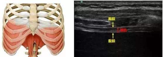 正确的训练从呼吸开始,呼吸对训练的重要性