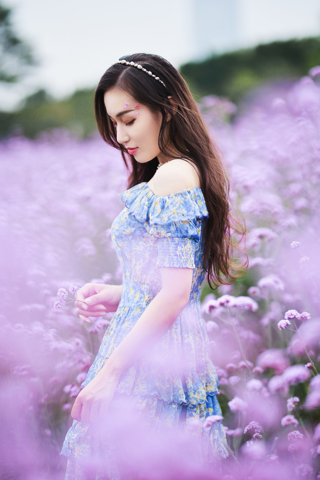 拍马鞭草与人摄影技巧,马鞭花怎么拍出大片