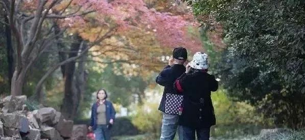 秋分之后不能秋冻,秋分时节润燥保暖