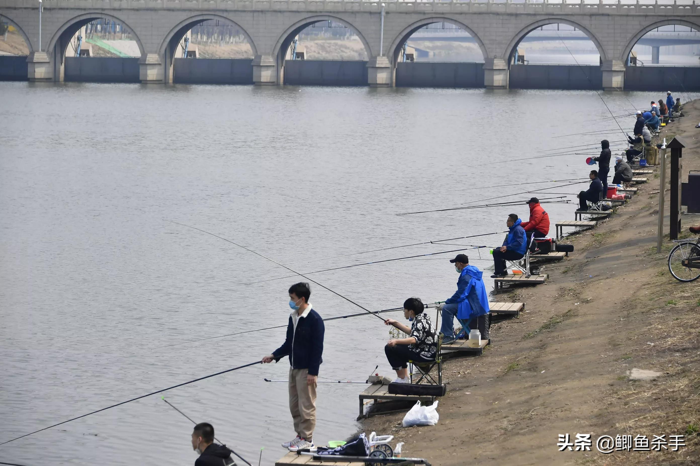 专业钓鱼场搭钓台,钓鱼人的福利来了图片