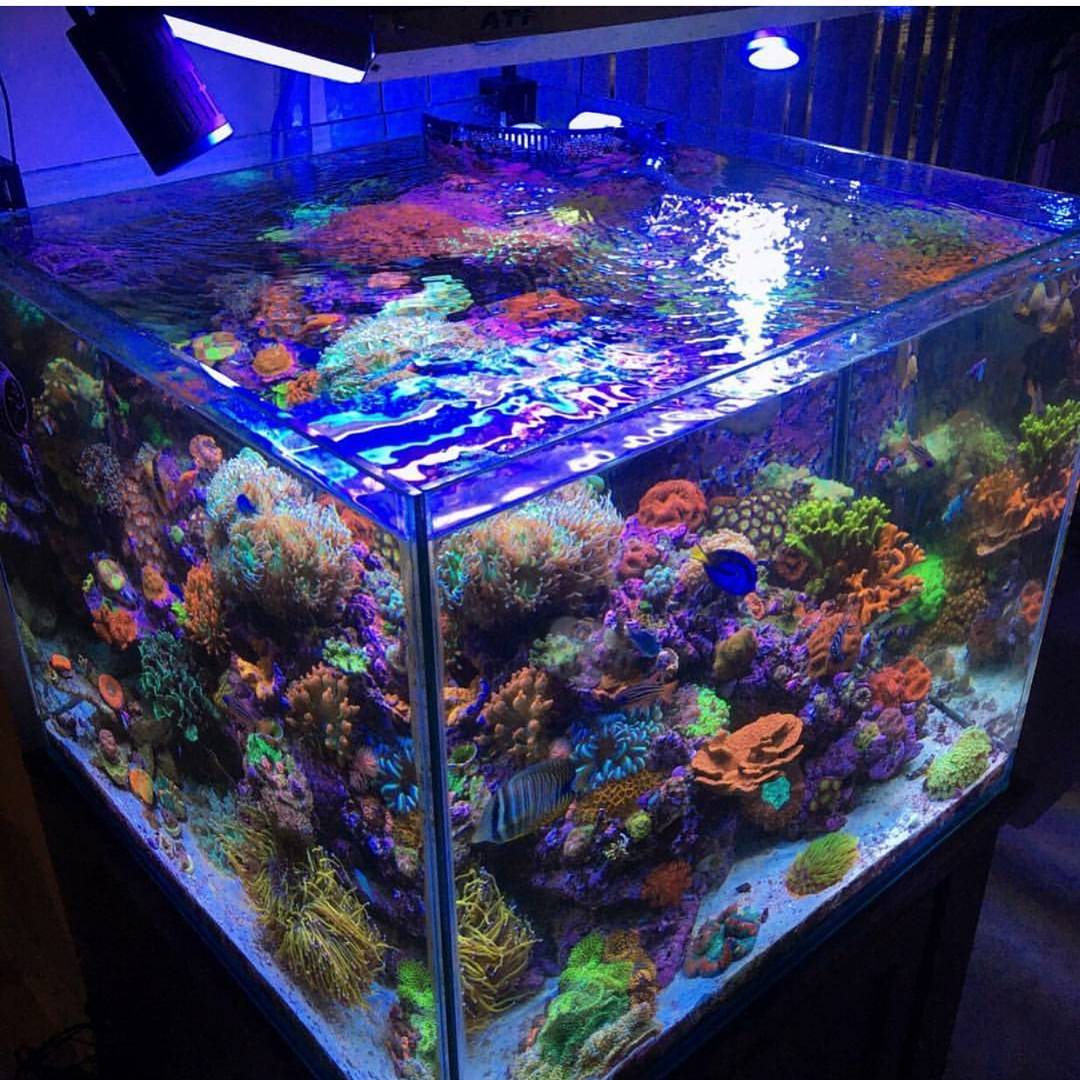 关于过滤的知识,过滤的方法和注意事项