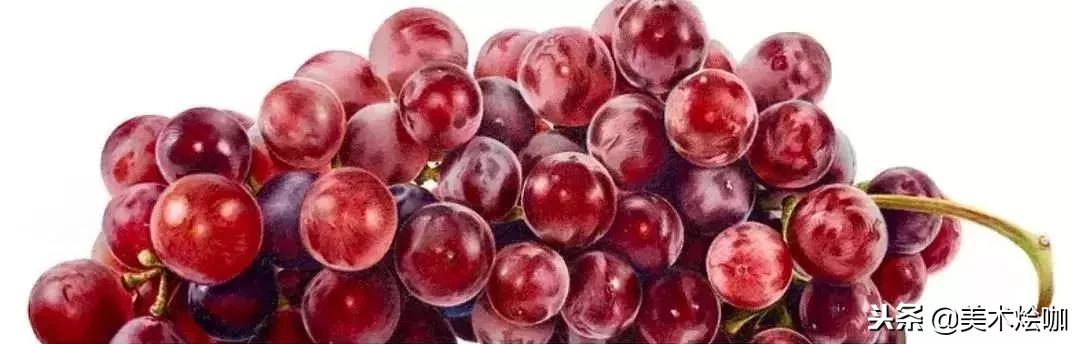 彩铅画教程超写实零基础入门,超写实彩铅画高清大图水果组合