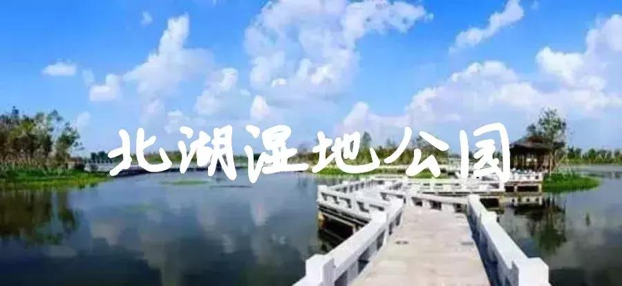 今天,世界各地的人将纷纷涌入长春!只为这个...