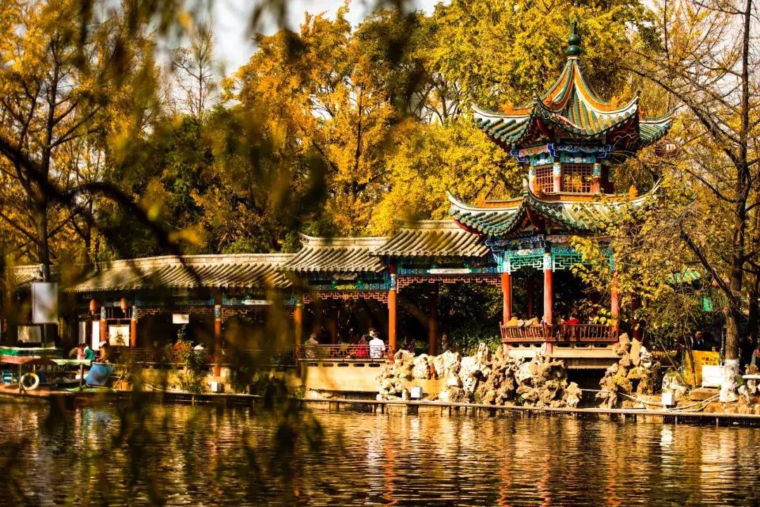 哪怕你去过云南不下10次,秋天的云南都值得你再来一次