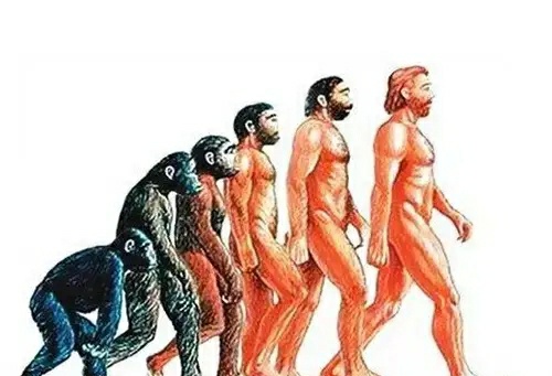 达尔文提出的是进化论还是演化论,达尔文进化论是什么世纪提出的