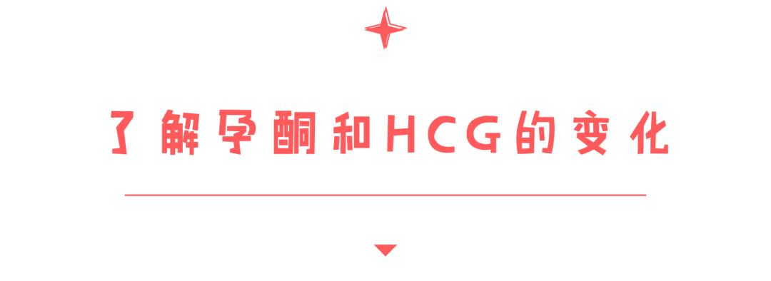 从孕酮和hcg如何判断怀孕,根据孕酮和hcg怎么判断是否怀孕