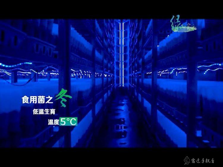 走进平原林海泗阳，一起感受辽阔壮美的泗阳之绿