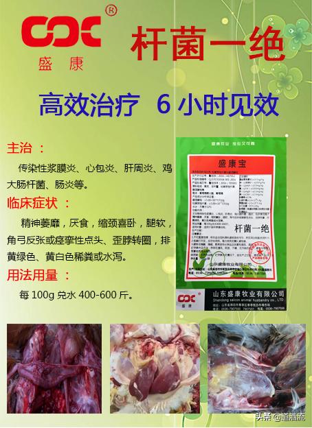 鸭中暑的最佳治疗方法,鸭中暑的症状怎么放血