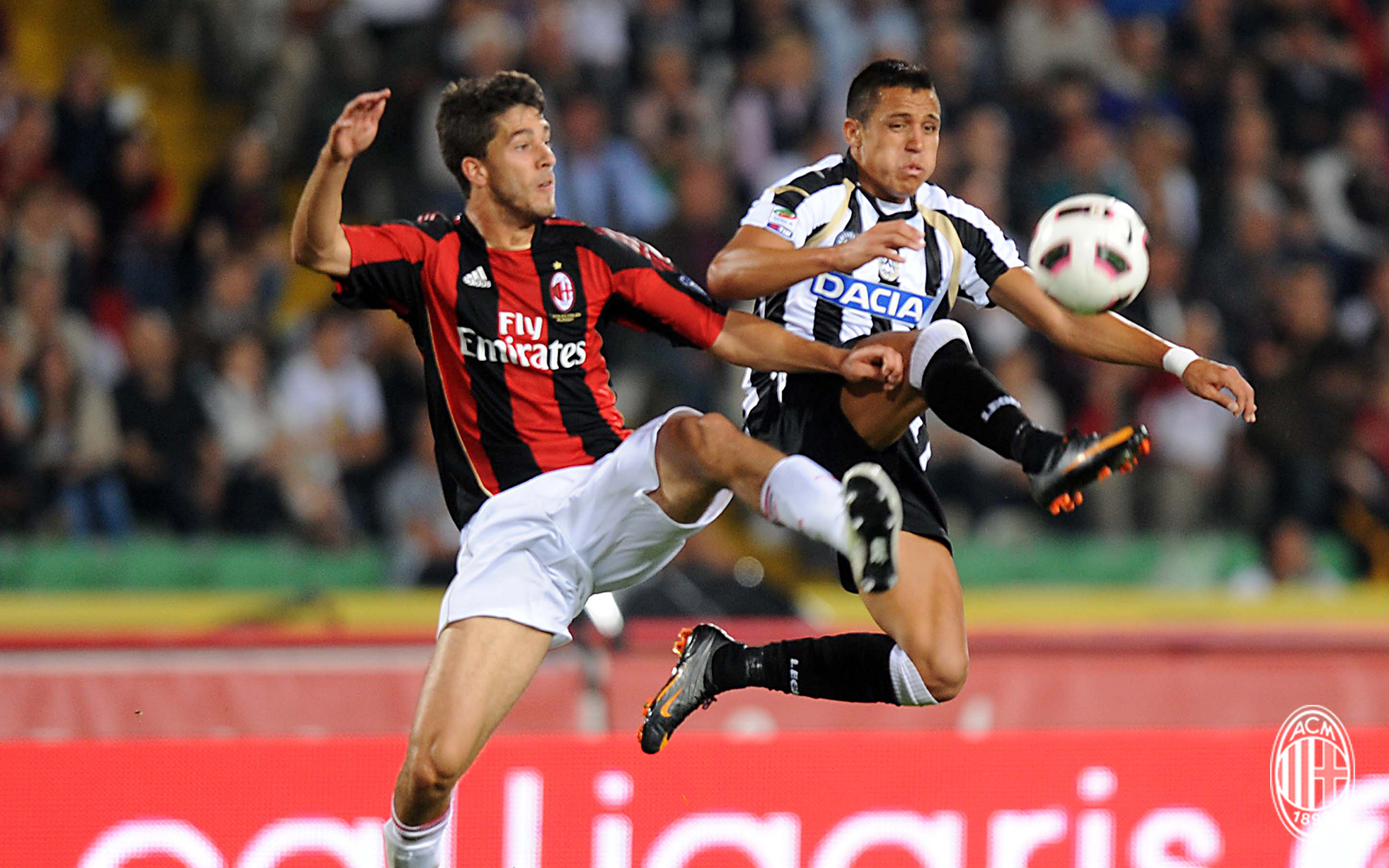 远征红黑军,板鸭篇