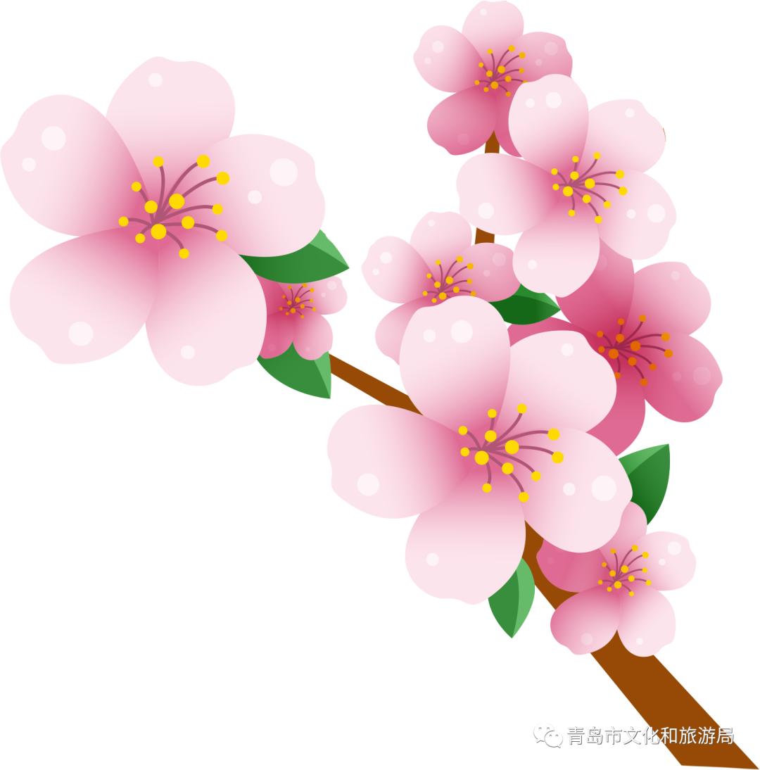 识花赏花学知识,赏花识花学知识