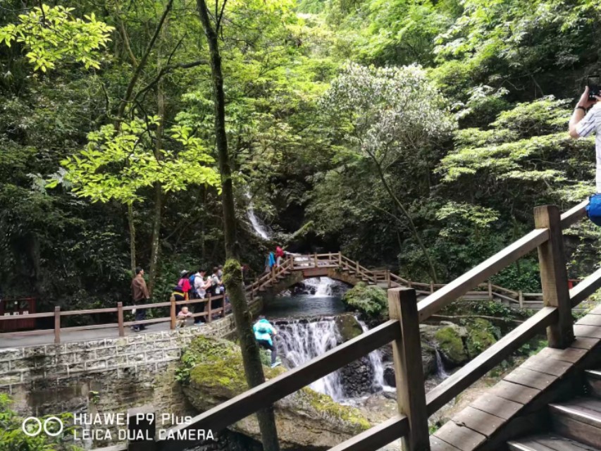 重庆黑山谷避暑适合吗,重庆避暑7天黑山谷