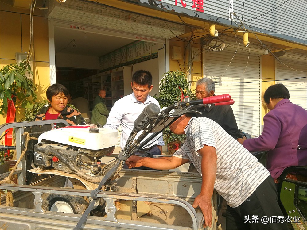 农村小规模种植什么赚钱,未来农村种植赚钱的六个方向