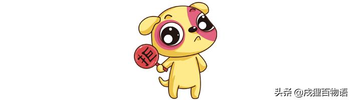 家里的狗狗发情了,该怎么照顾它?