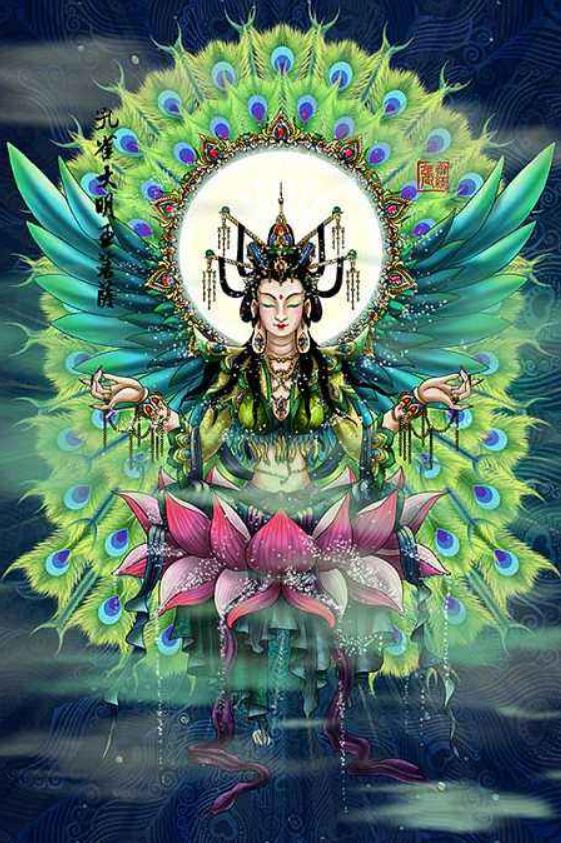 孔雀大明王和金翅大鹏雕哪个厉害,孔雀大明王有多厉害