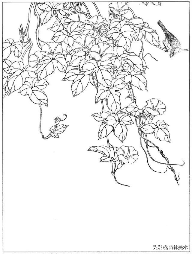 现代国画工笔花鸟白描及完整版,路雨年工笔白描花鸟团扇高清图片