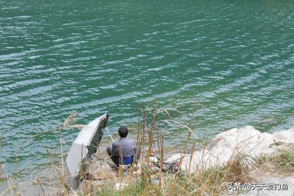 刮风天钓鱼啥风向最好钓,昨天刮风今天钓鱼好钓吗