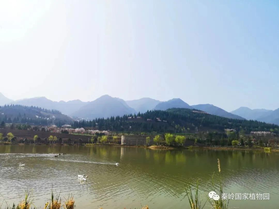 西安景区免票政策,西安市景点优惠政策元旦