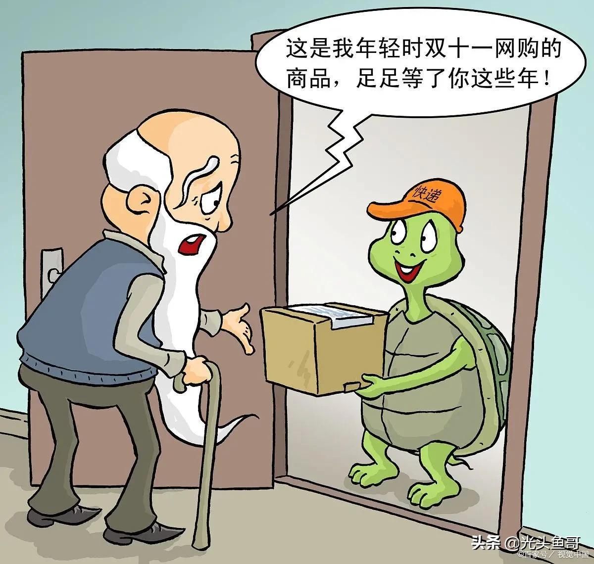 石金钱龟为何会跌落神坛,石金钱龟几年开始大降价的