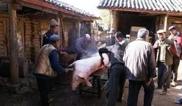 狂欢与感恩：杀年猪漫谈