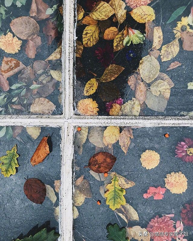 情感咨询|栗子姐每日情感问答(0919)