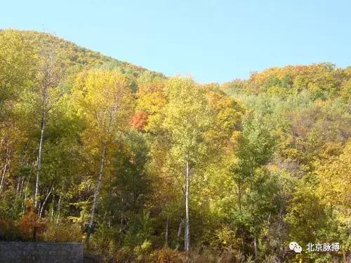 画说回龙观,北京最漂亮的森林公园