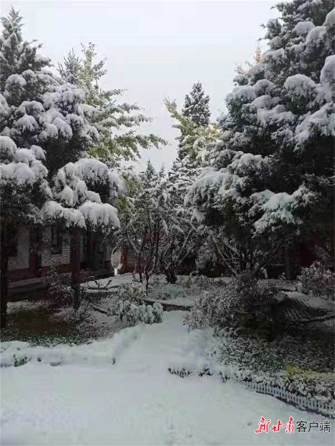 平凉崆峒区四路车现在停运了吗,平凉长途客车停运了吗