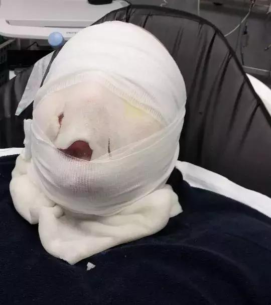 因为一时疏忽让自己悔恨终生,因为一时的疏忽造成了终身后悔