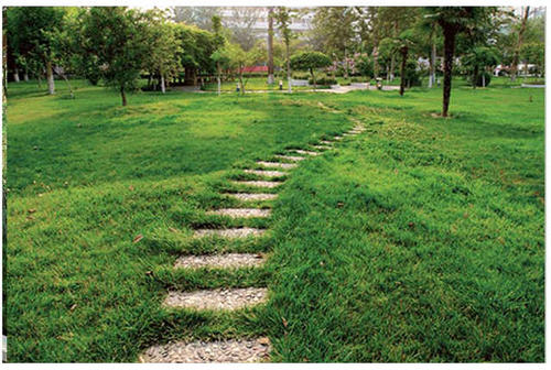 河南省实验中学高考,河南省重点中学