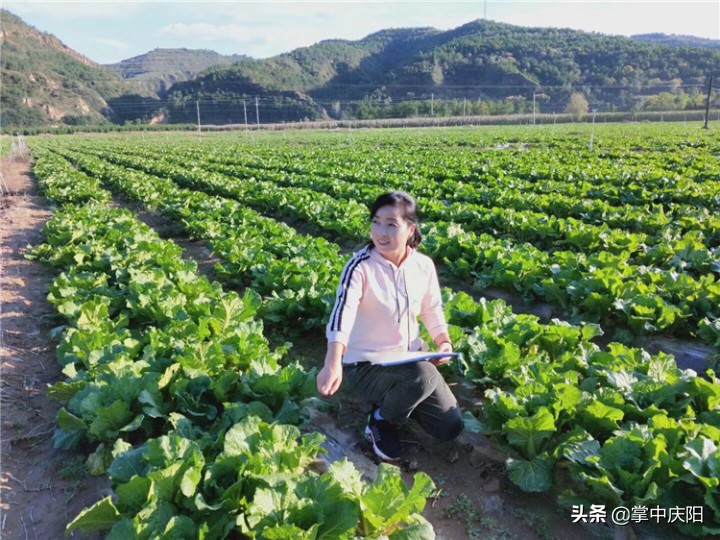 甘肃庆阳驻村干部王红梅:真情像梅花开过