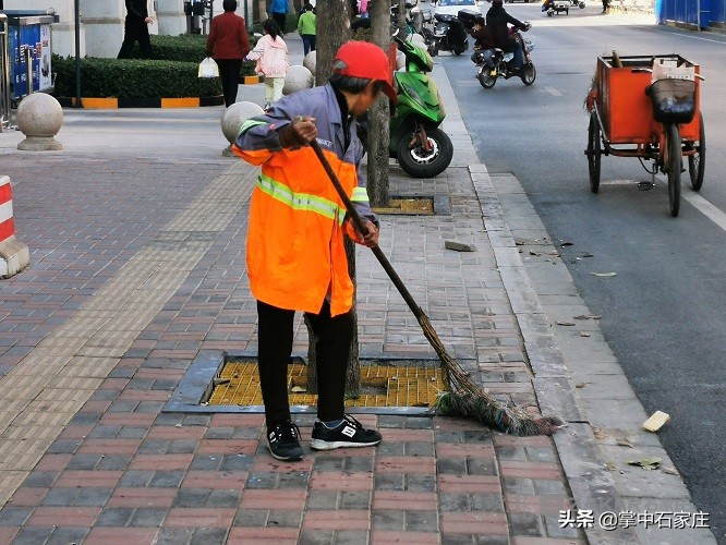 都是杮子惹的祸!从树上掉下弄脏便道还不易清理相关部门表示尽快清理!