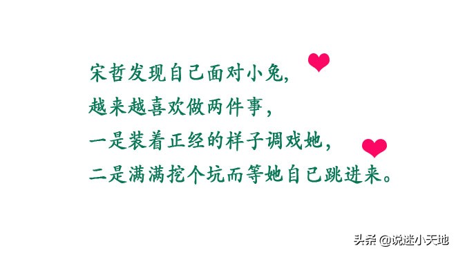 青春最华丽的裙袂，我只喜欢你‖小说《兔子爱吃窝边草》