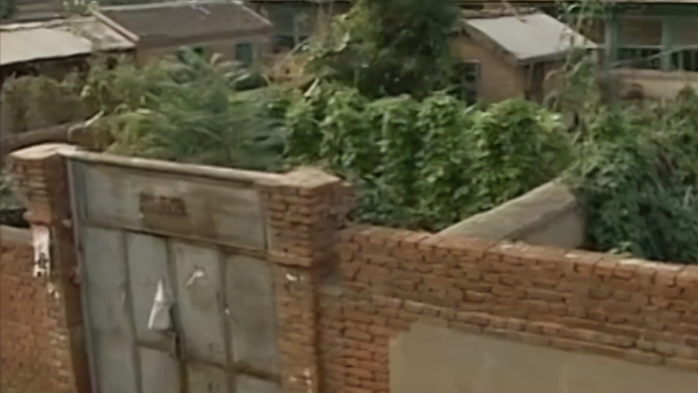 毒蝎进村的真实事件,毒蝎进村的真实原因