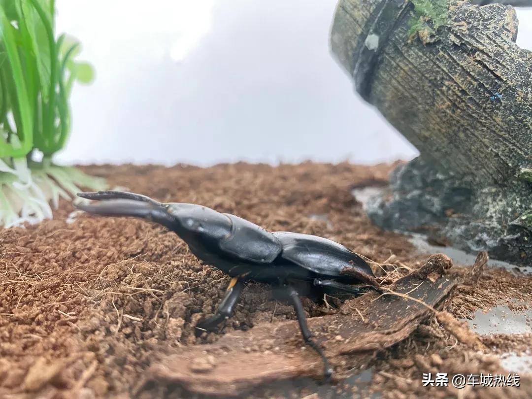 十堰市雨过天晴,十堰市晴好天气