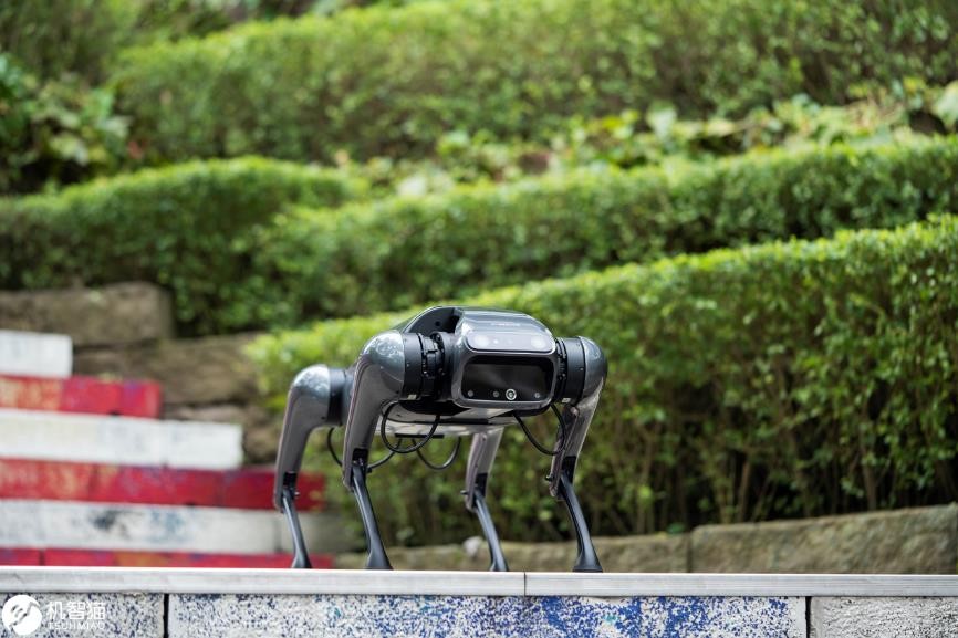 铁蛋四足仿生机器人,cyberdog铁蛋有什么用