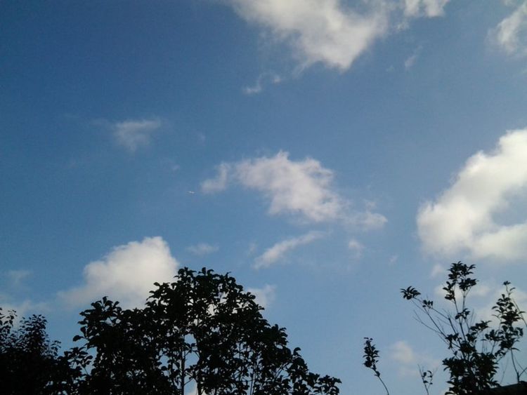 走进上海中科院,上海理工大学历史